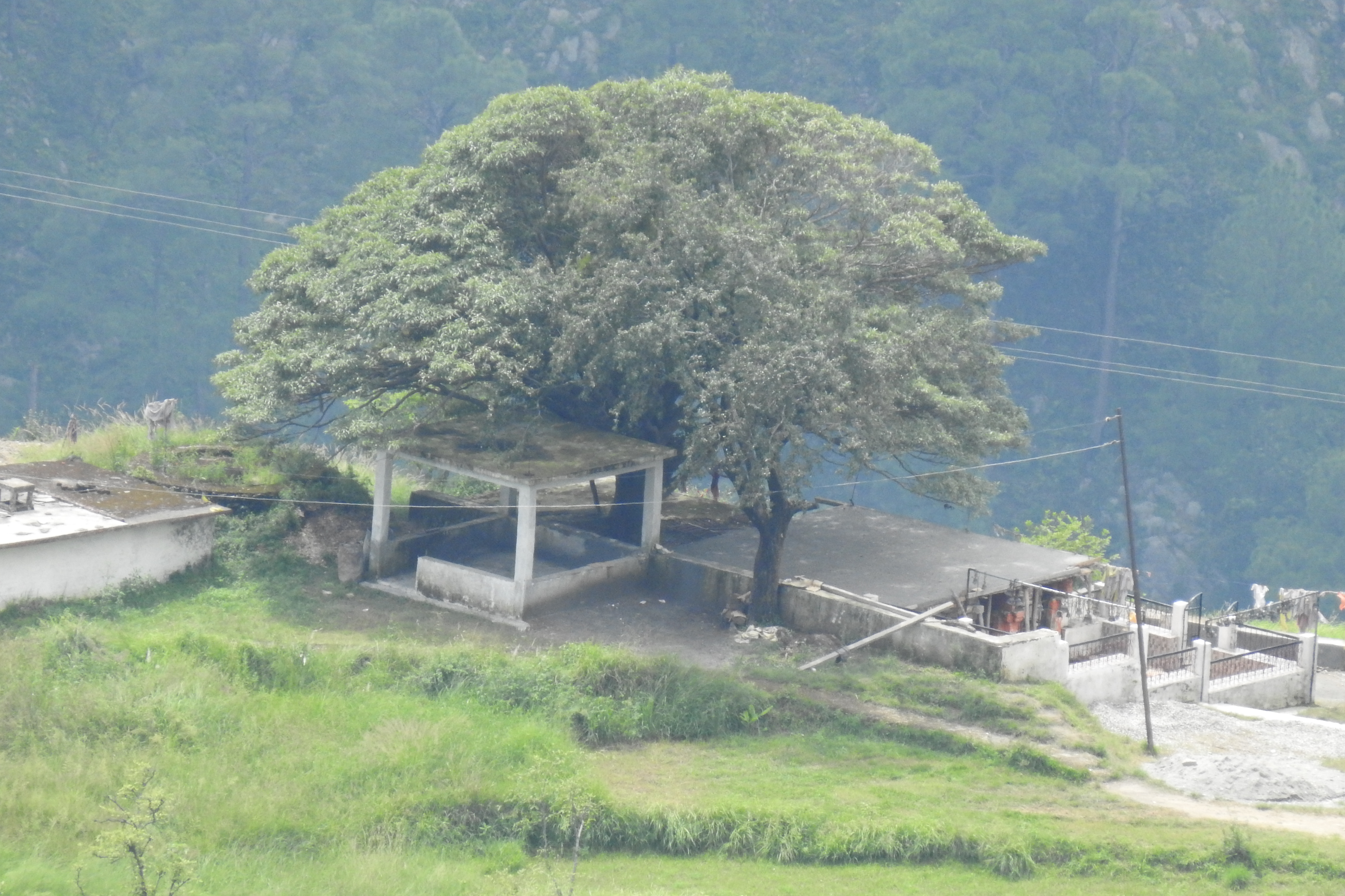 होली पर मौसम: मैदानी इलाकों में बारिश, पहाड़ी क्षेत्रों में हिमपात के आसार