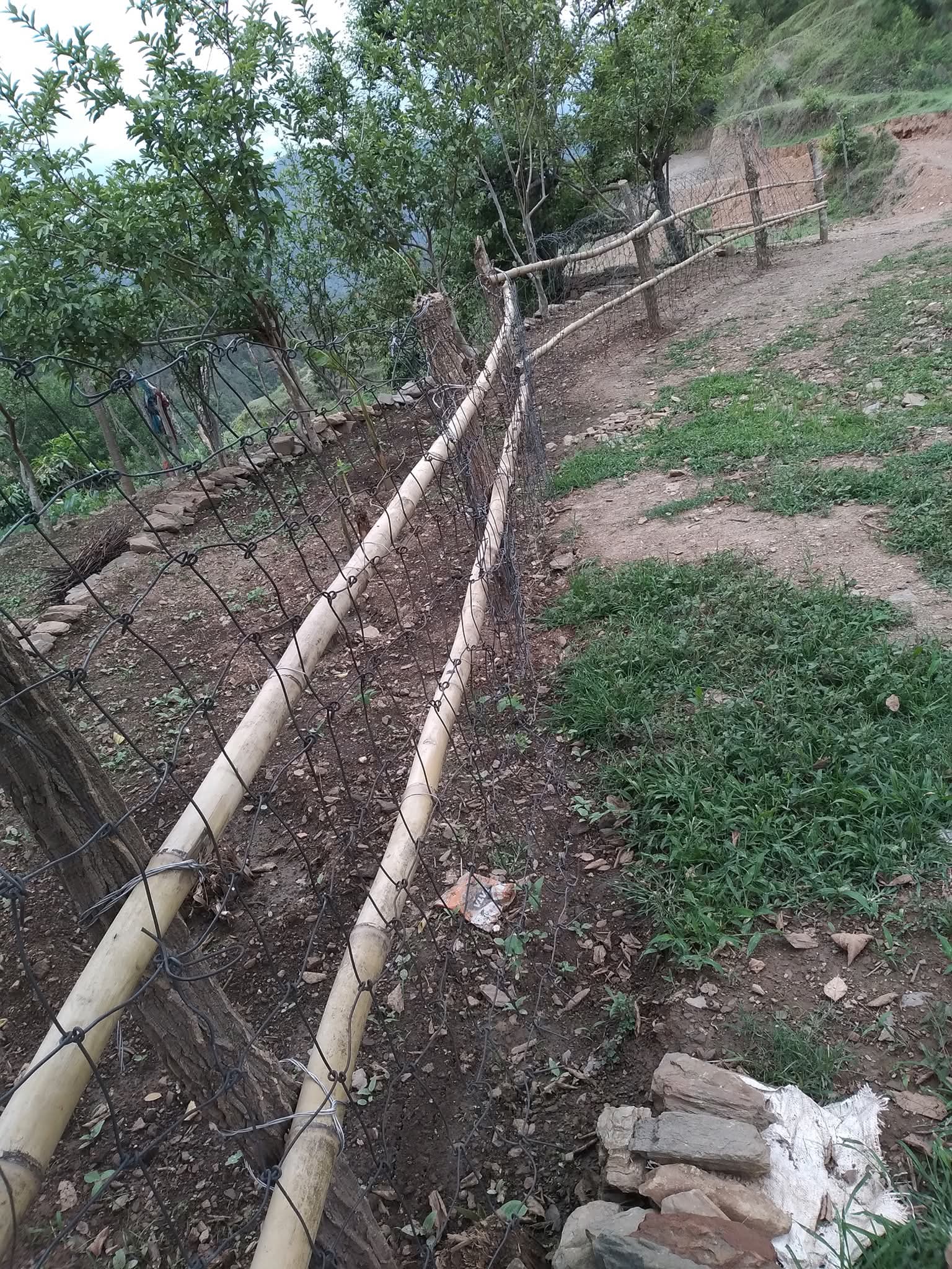 दबंगई और अतिक्रमण की भेंट चढ़ी ग्रामीण सड़क, नदेरा, भनार ग्रामसभा के ग्रामीणों ने सोशल मीडिया में व्यक्त किया आक्रोश