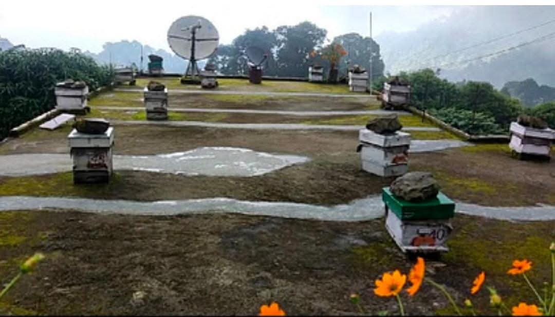 श्यामलाताल के हरीश जोशी ने शहद उत्पादन से रचा सफलता का मधुमय इतिहास, दिल्ली-मुंबई तक पहुंची घोली शहद की मिठास