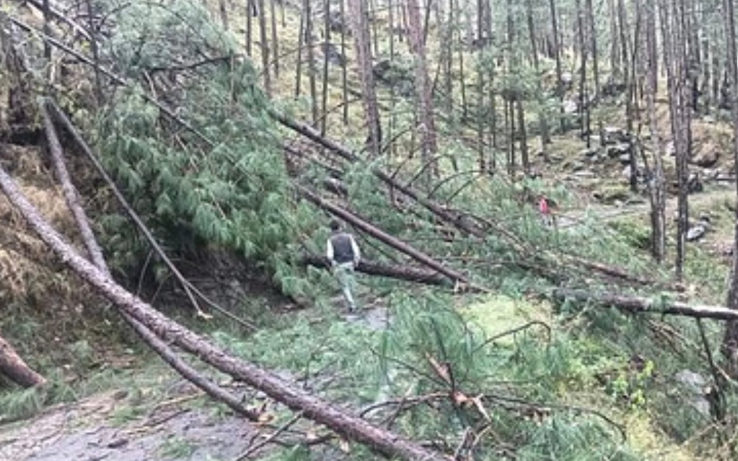 उत्तराखंड - तूफान बना काल - स्कूल से लौटते समय पेड़ की चपेट में आए दो मासूम, मौके पर मौत, पूरा गांव शोक में डूबा