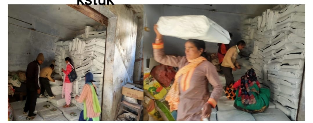 घासारी योजना पर संकट, साइलेज की किल्लत से चंपावत के पशुपालक बेहाल, 75% अनुदान वाली योजना में आपूर्ति ठप, सब्सिडी बकाया से फेडरेशन के हाथ बंधे।