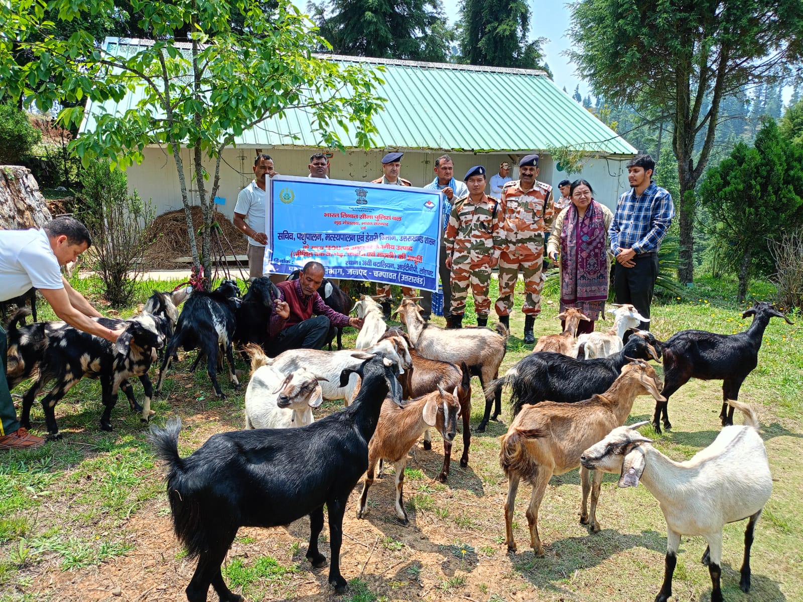 596 किलो जिंदा बकरी की आपूर्ति से स्थानीय पशुपालकों को ₹1.78 लाख की आमदनी, आईटीबीपी-पशुपालन विभाग समन्वय से स्थानीय पशुपालकों को बड़ा लाभ, 596 किलो बकरी की हुई आपूर्ति।