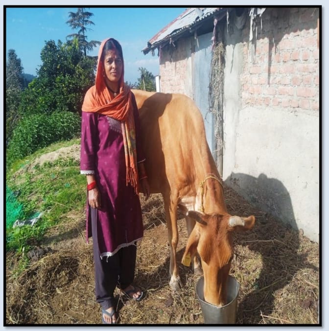 स्वावलंबन से समृद्धि: शांति देवी की प्रेरणादायक कहानी, सशक्त महिला, समृद्ध उत्तराखंड - आदर्श चंपावत की ओर बढ़ते कदम।