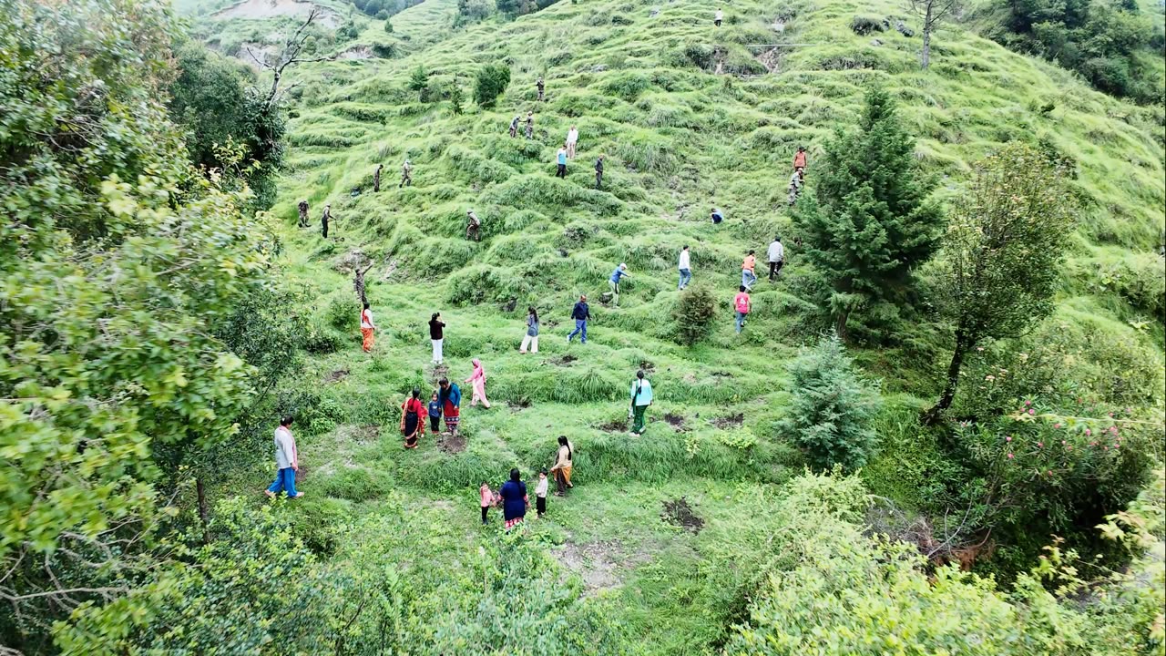 हरेला सप्ताह में विशेष वृक्षारोपण अभियान शुरू, दस हजार पौथ लगाए