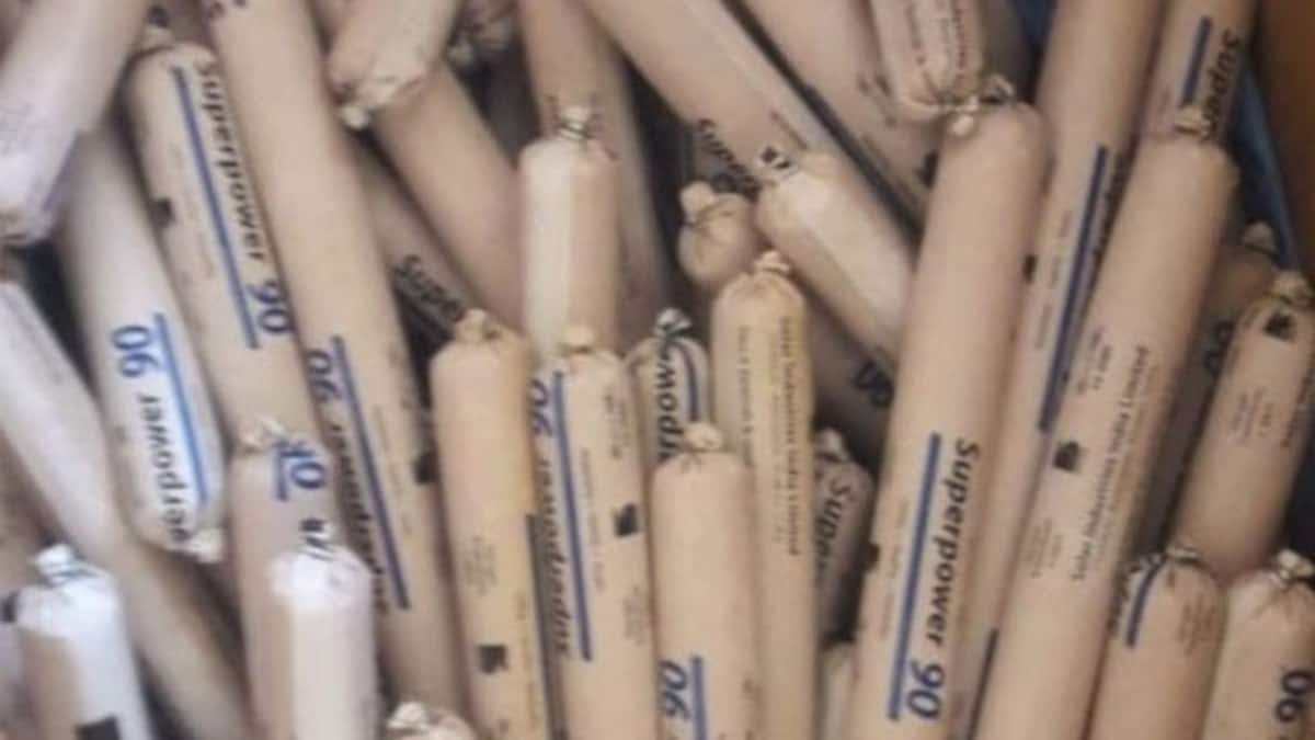सल्ट के सरकारी स्कूल परिसर से विस्फोटक पदार्थ जिलेटिन की 161 छड़ें मिलीं, बम निरोधक दस्ता सक्रिय - जांच जारी